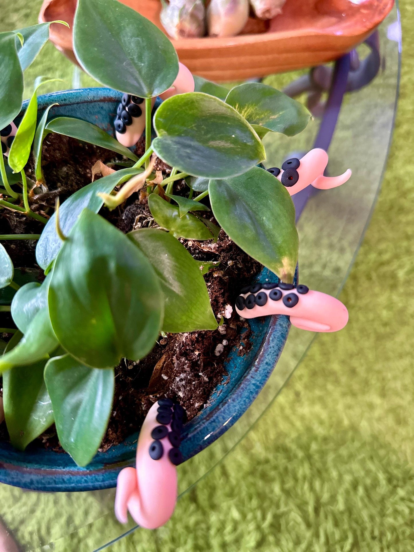 Peach Sea Creature Tentacles with Black