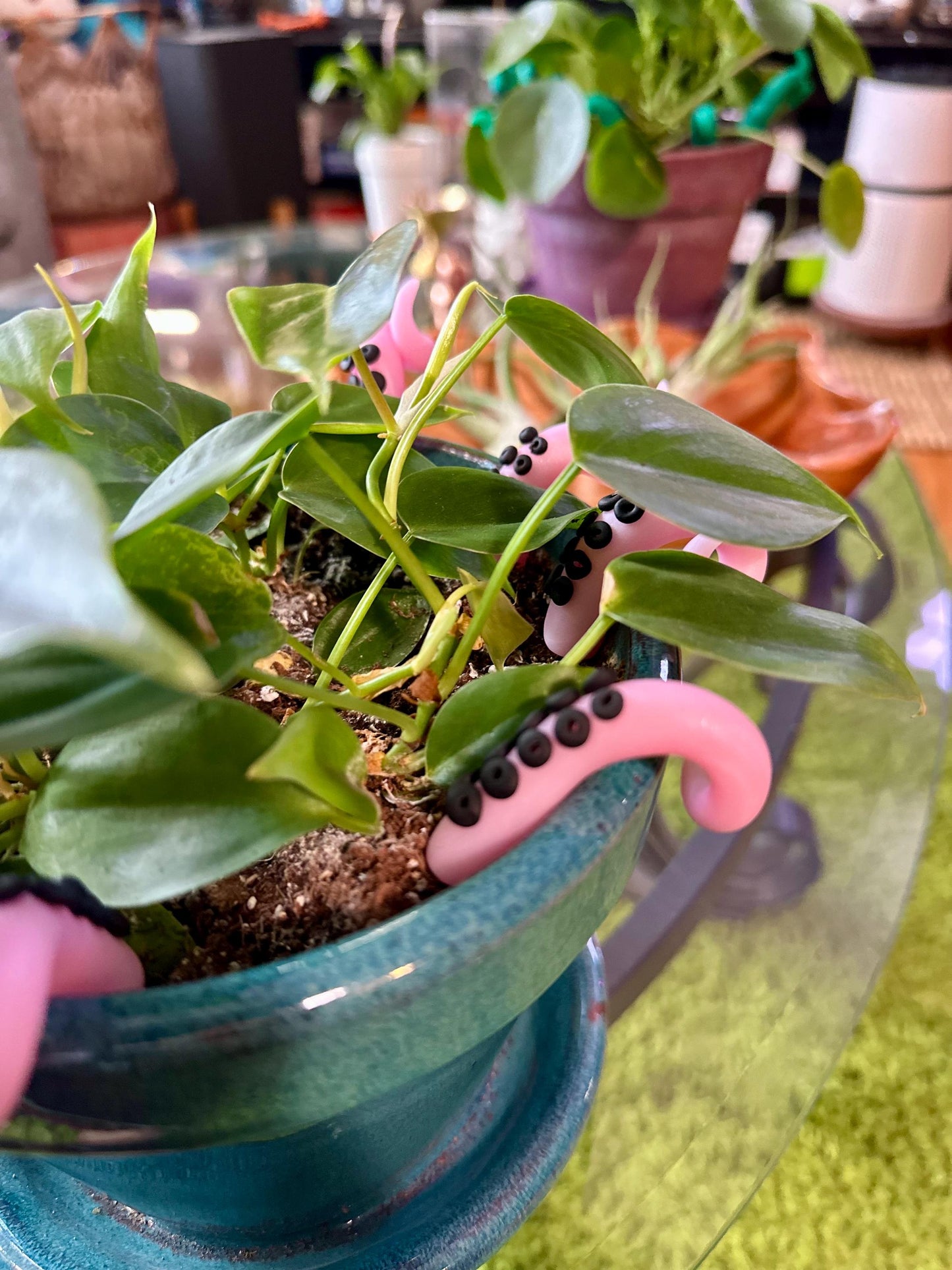 Light Pink Glitter Sea Creature Tentacles with Black