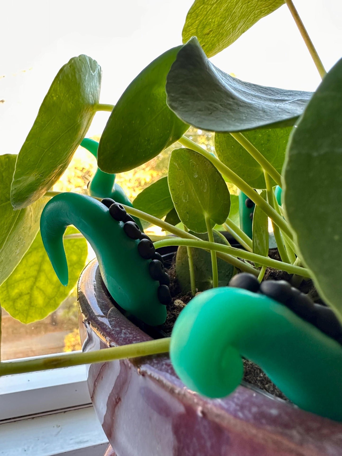 Green & Black Sea Creature Tentacles