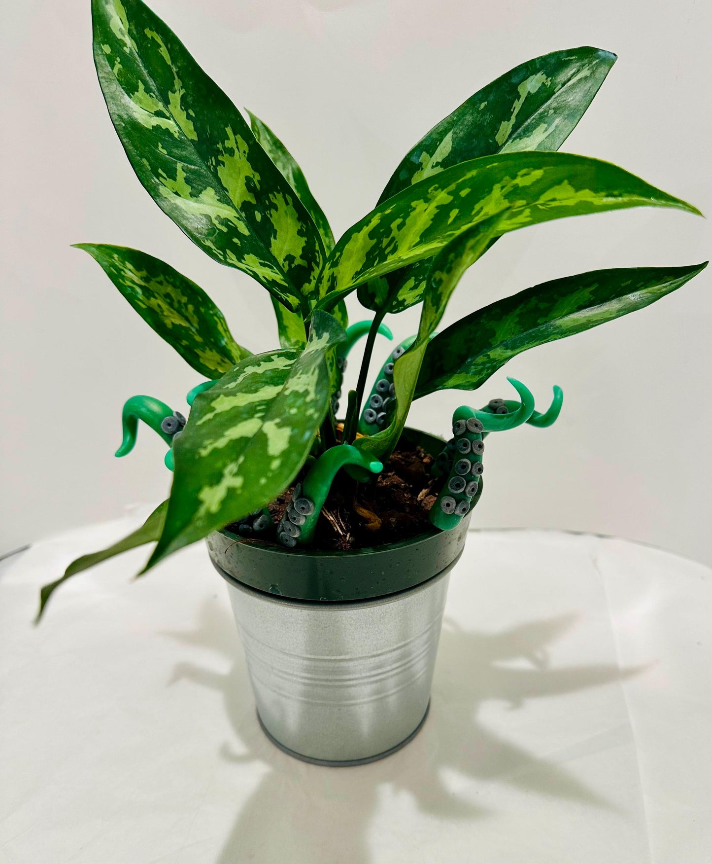 Marble Green & Black Sea Creature Tentacles