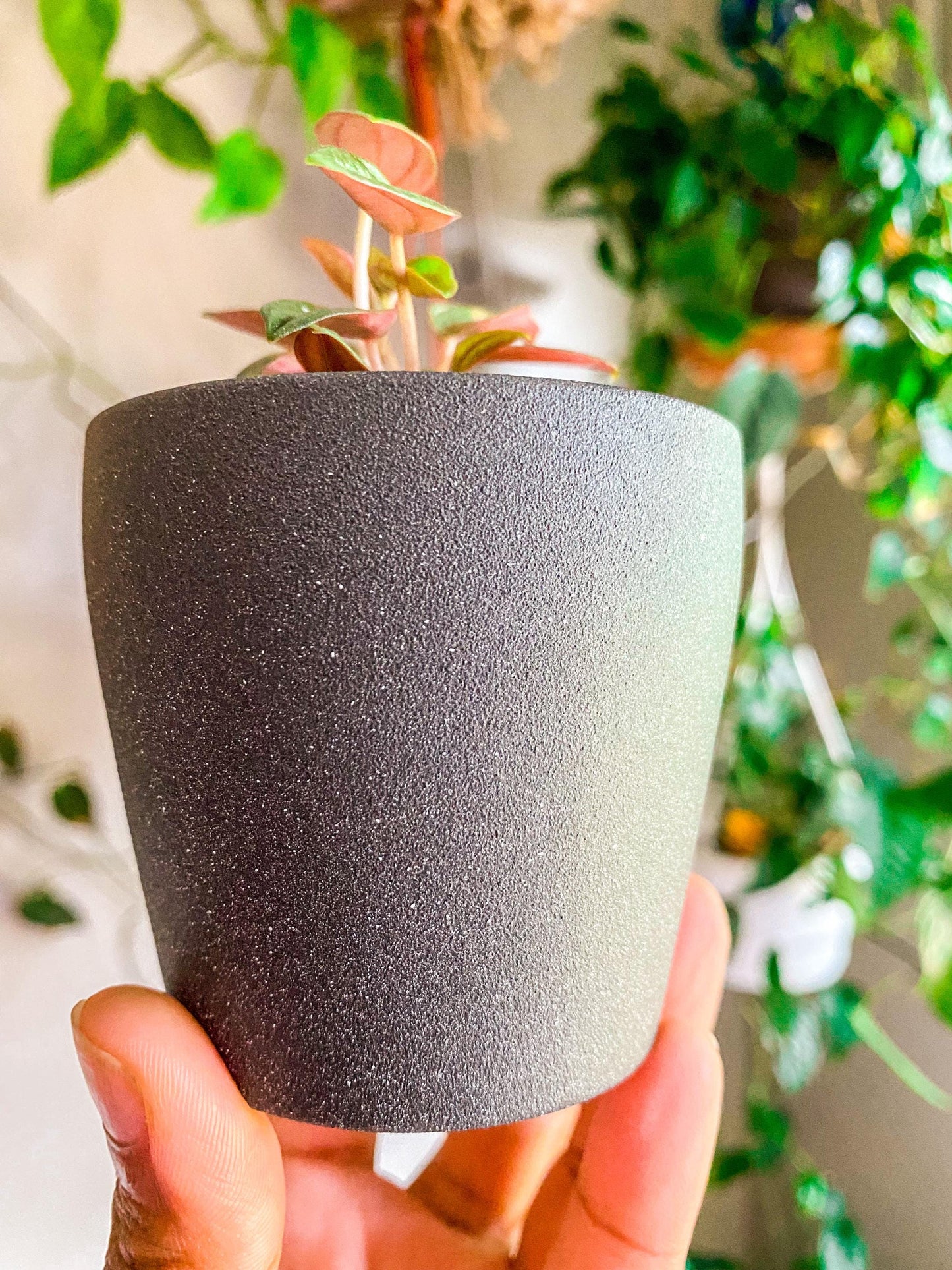 Speckled Ceramic Pot - 2 Inch