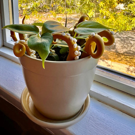 Mustard Sea Creature Tentacles