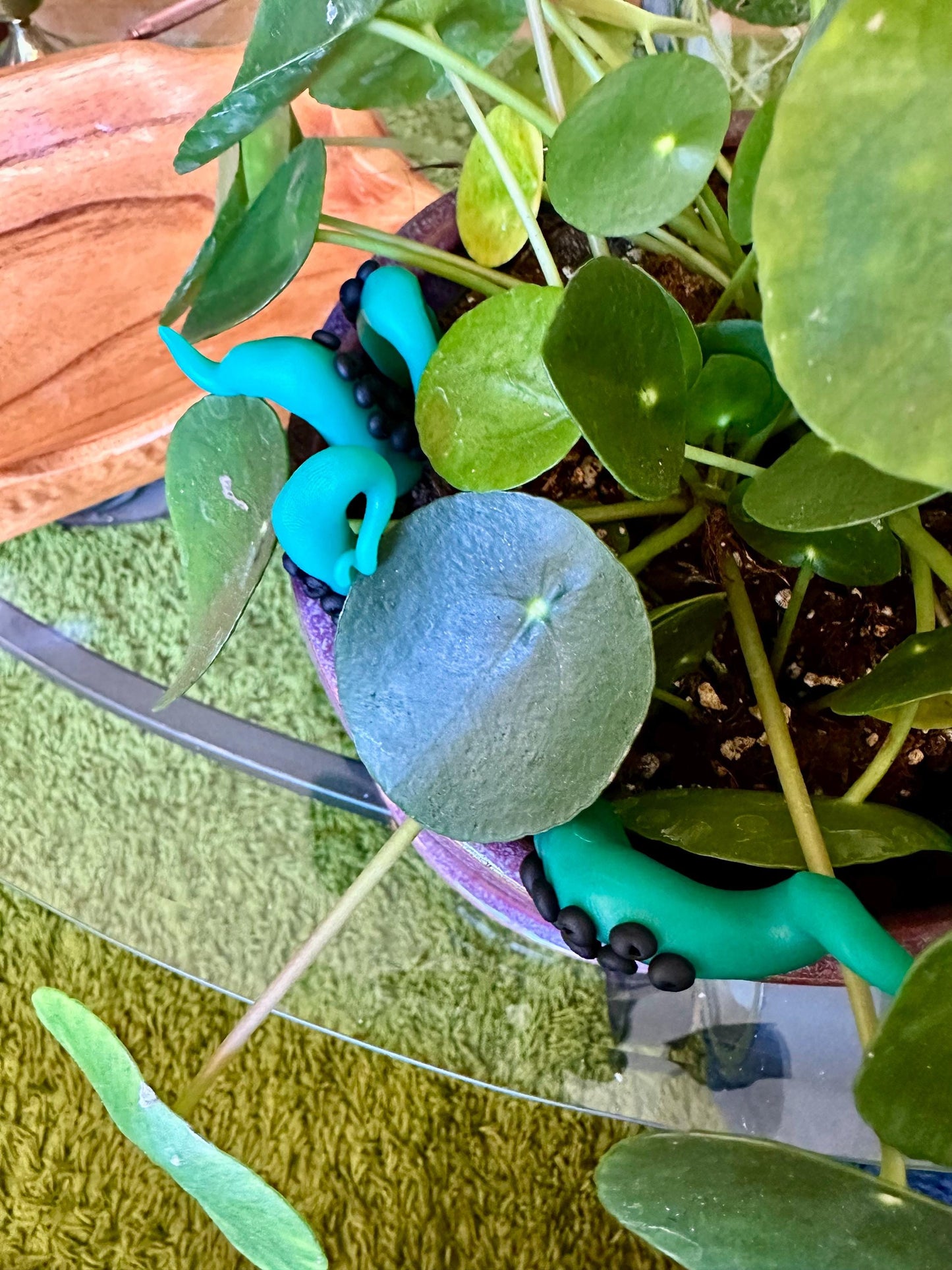 Green & Black Sea Creature Tentacles