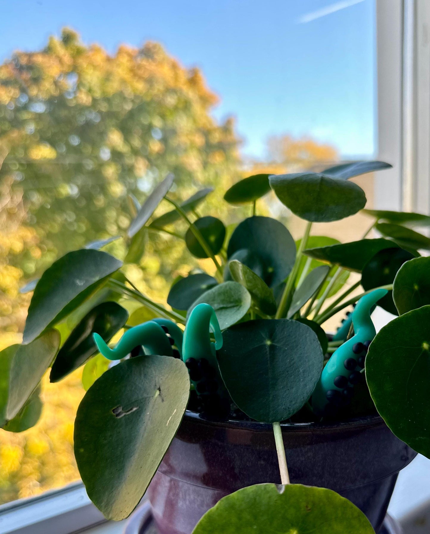 Green & Black Sea Creature Tentacles