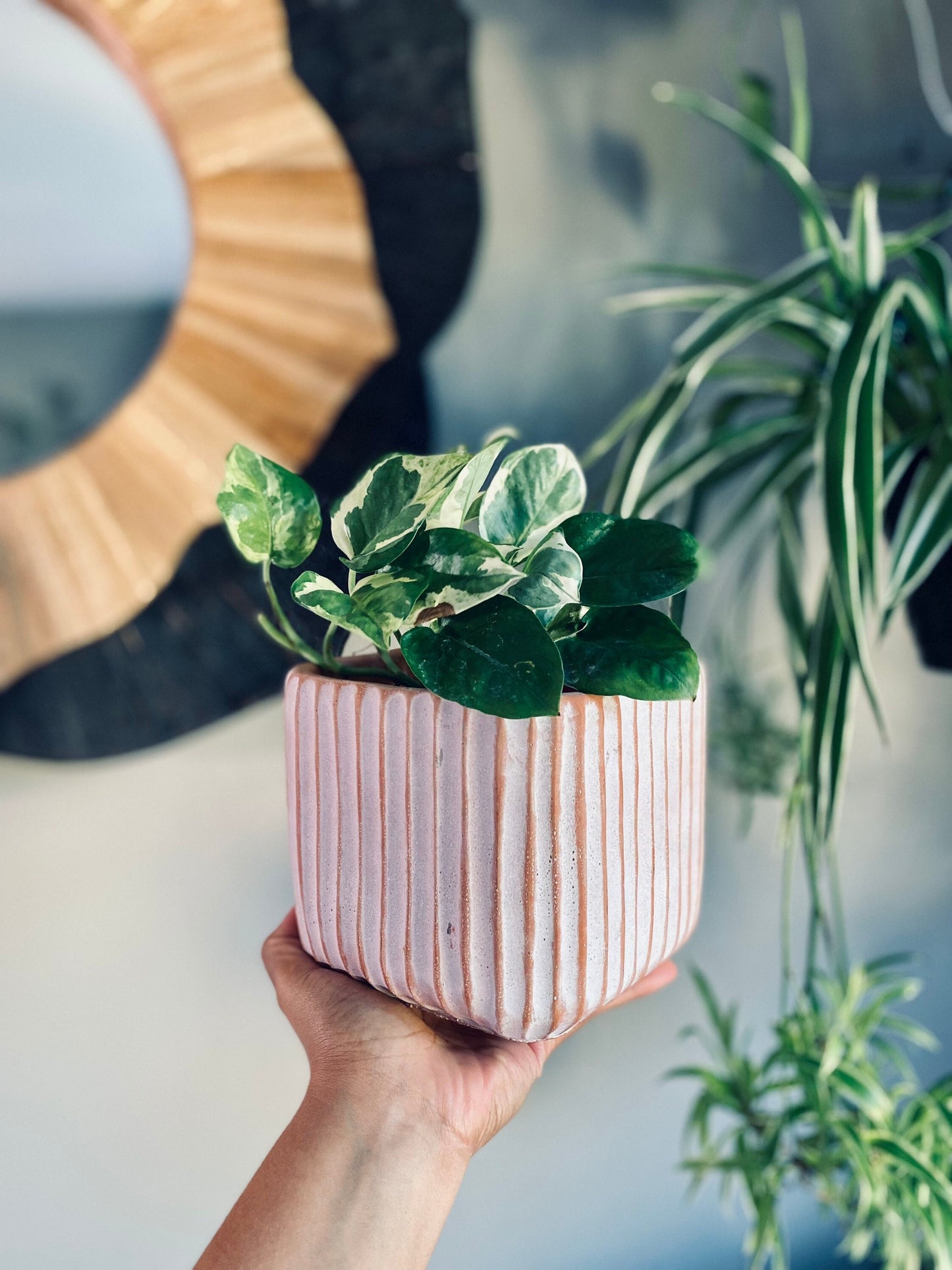 Brown and White Neutral Ribbed Catch Pot - Ceramic 5.5 Inch Pot