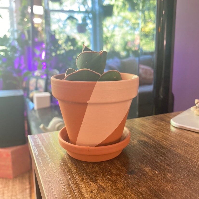 Unique Hand Painted Terracotta Pot for Plants - Pick Your Size