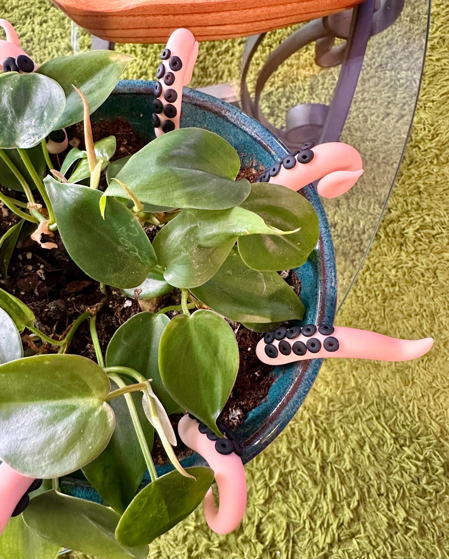 Peach Sea Creature Tentacles with Black