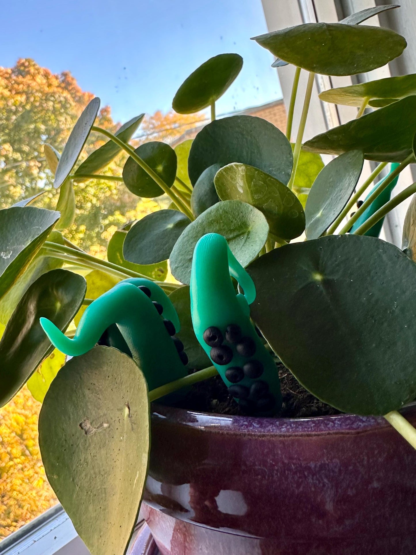 Green & Black Sea Creature Tentacles