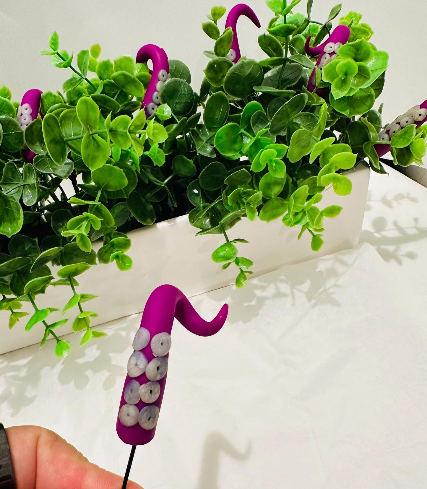 Dark Pink and Clear Sea Creature Tentacles with Black