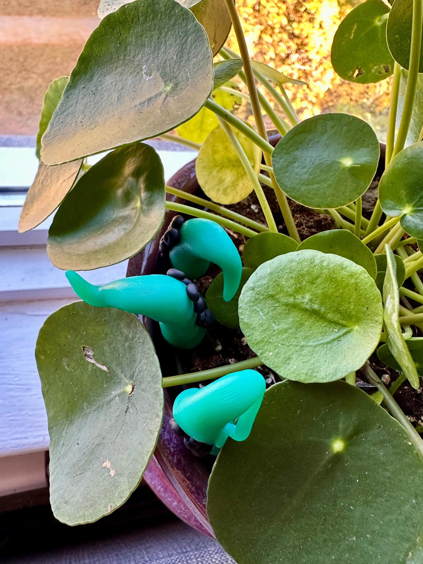 Green & Black Sea Creature Tentacles