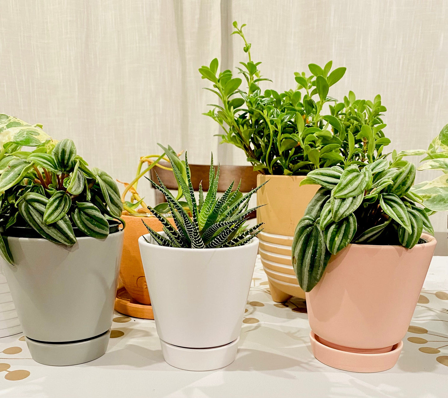 Peach/Cream/Gray Unique Planters - 4 Inch Pot w/ Saucer