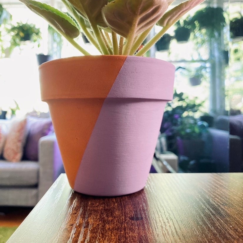 Unique Hand Painted Terracotta Pot for Plants - Pick Your Colors