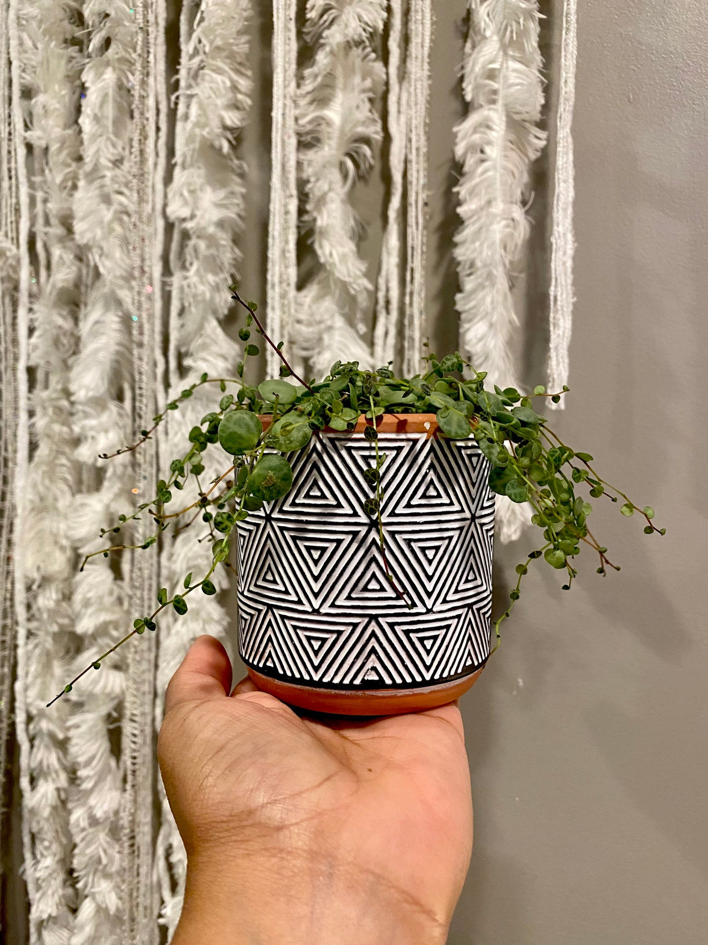 3.5 Inch Terracotta Planter - Ceramic Pot