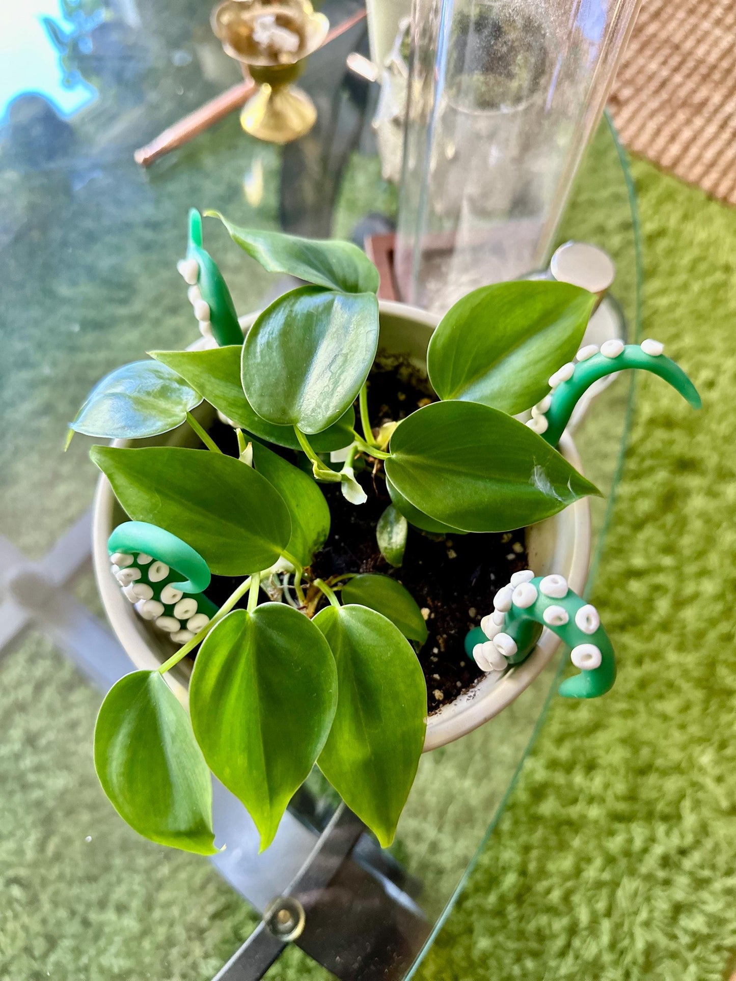 Green (semi-translucent) Sea Creature Tentacles