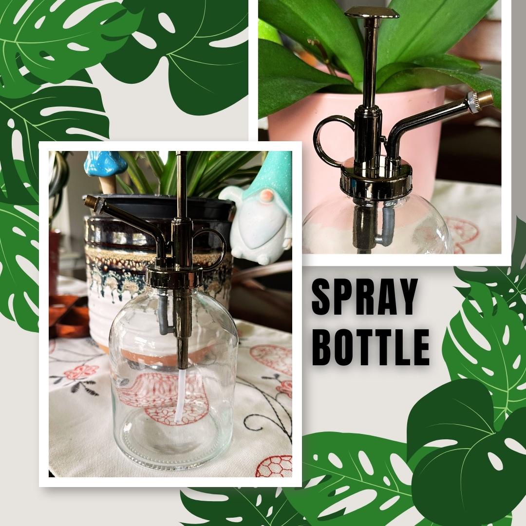 Glass Plant Mister - Trigger Spray for Plants / Room Sprays