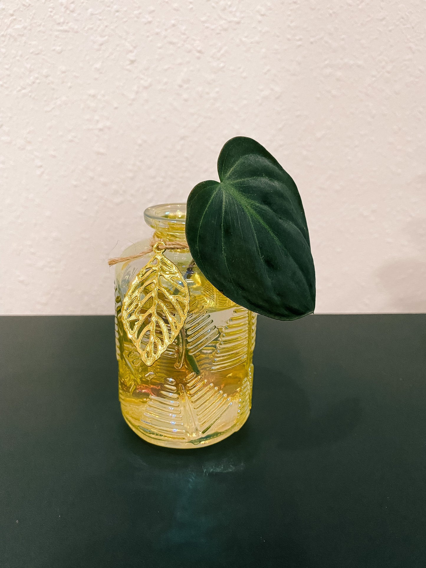 Gold Glass Propagation Container - Modern Leaf Vessel