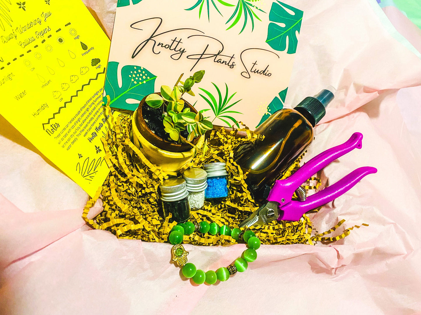 2-Inch Plant Gift Box
