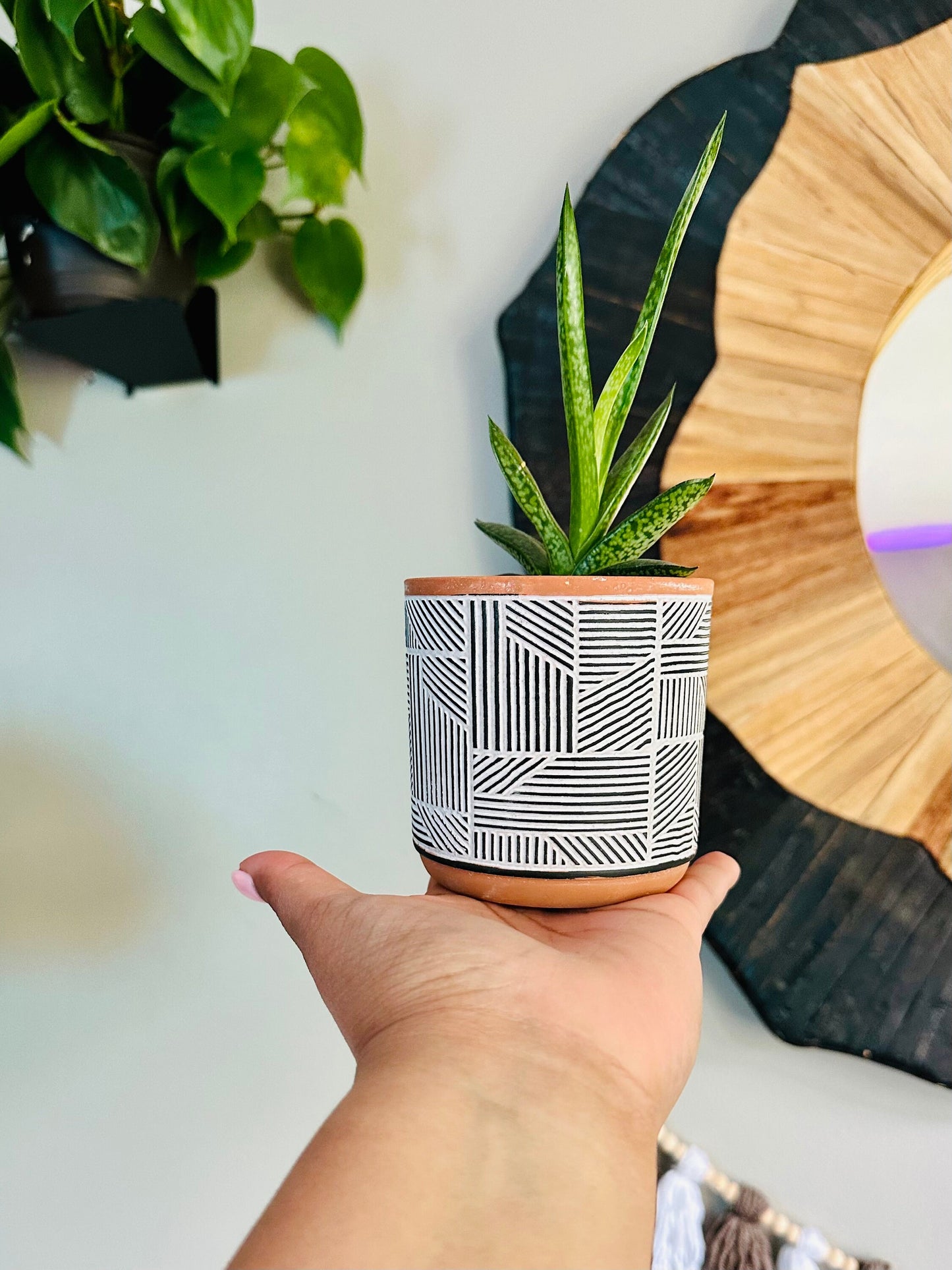 3.5 Inch Terracotta Planter - Ceramic Pot - Black & White Style