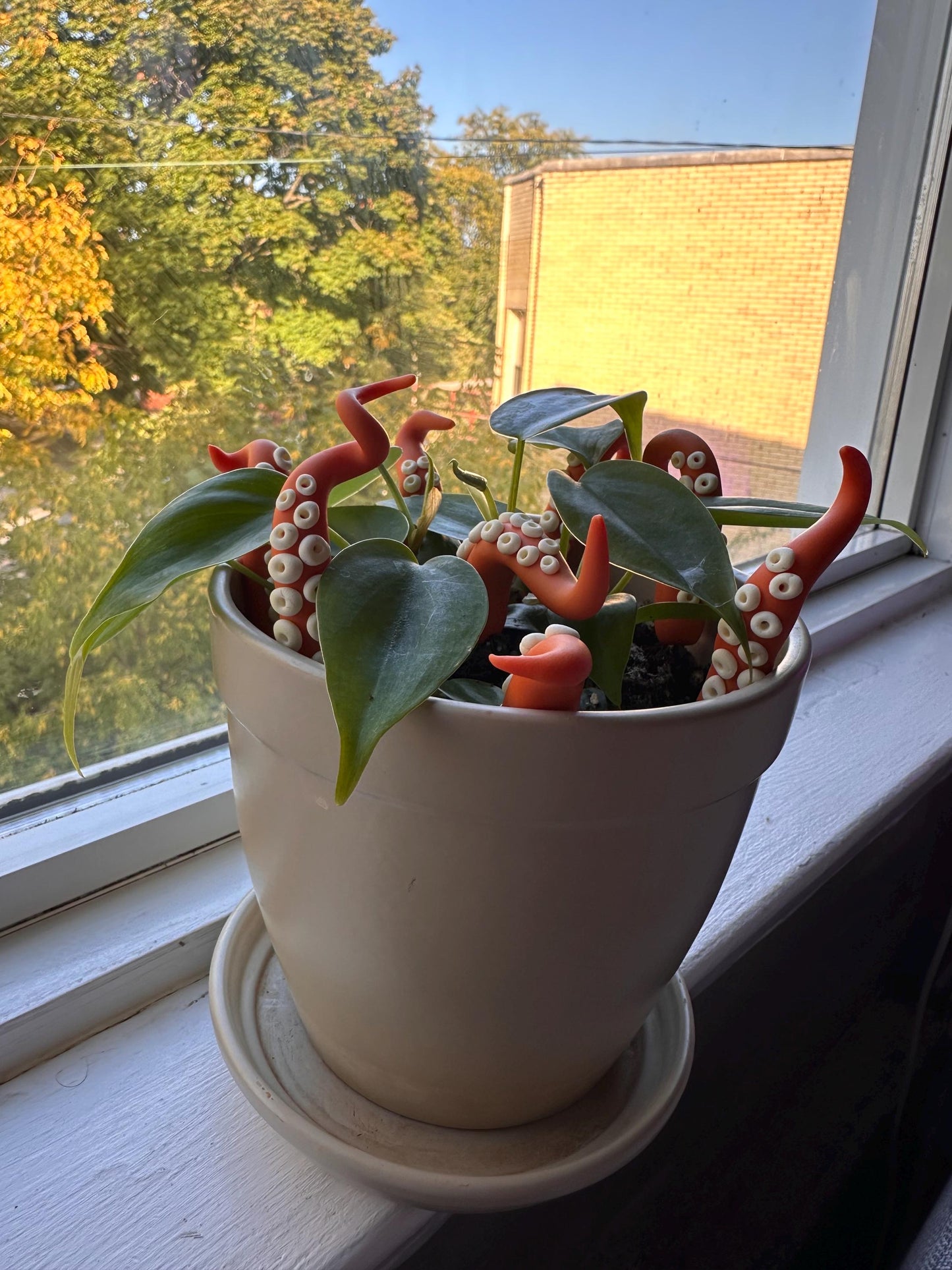 Orange Sea Creature Tentacles