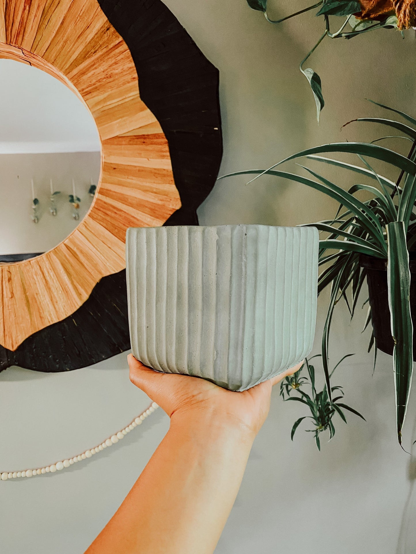 Green Neutral Ribbed Pot - Ceramic 5.5 Inch Catcher Pot