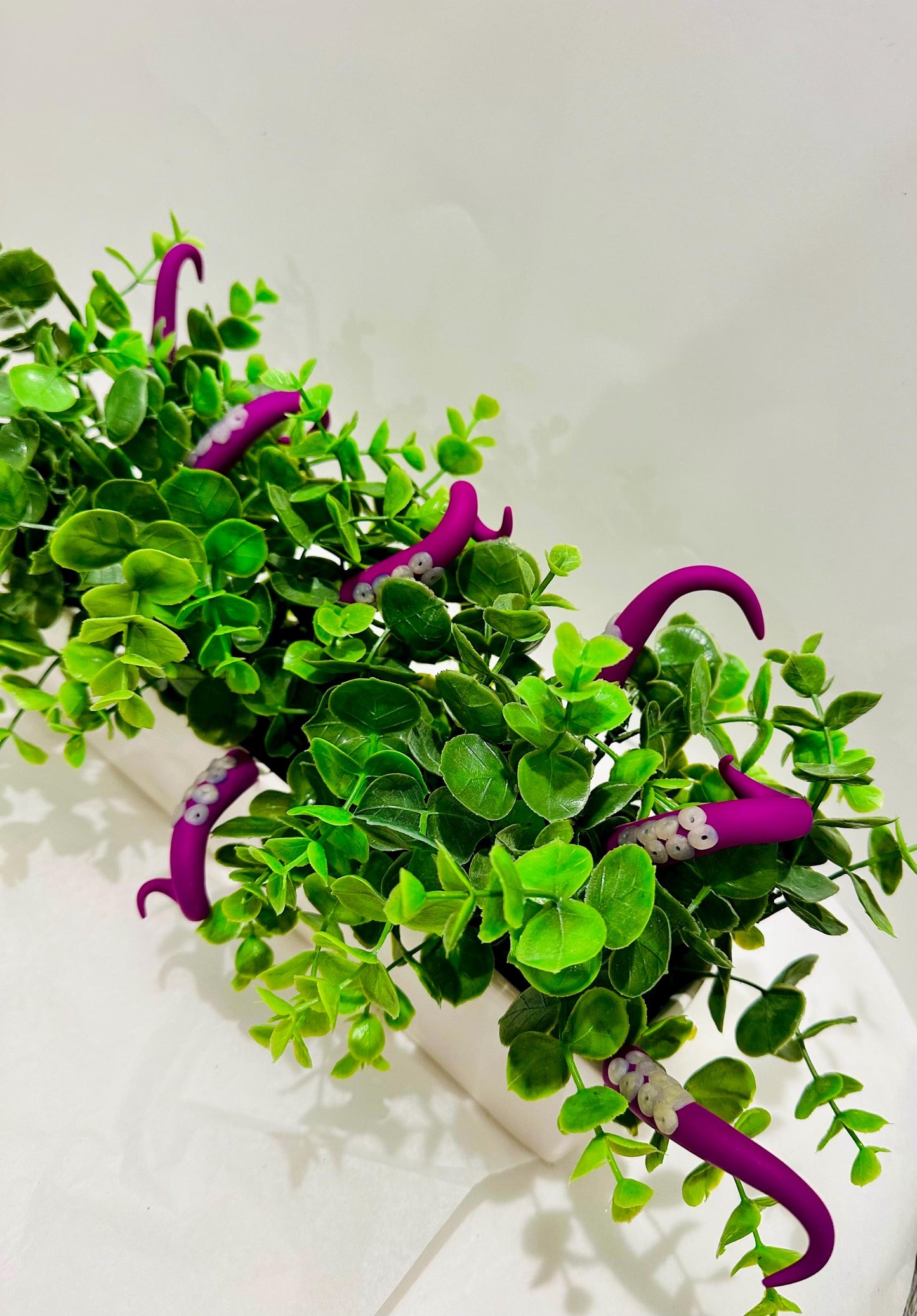 Dark Pink and Clear Sea Creature Tentacles with Black