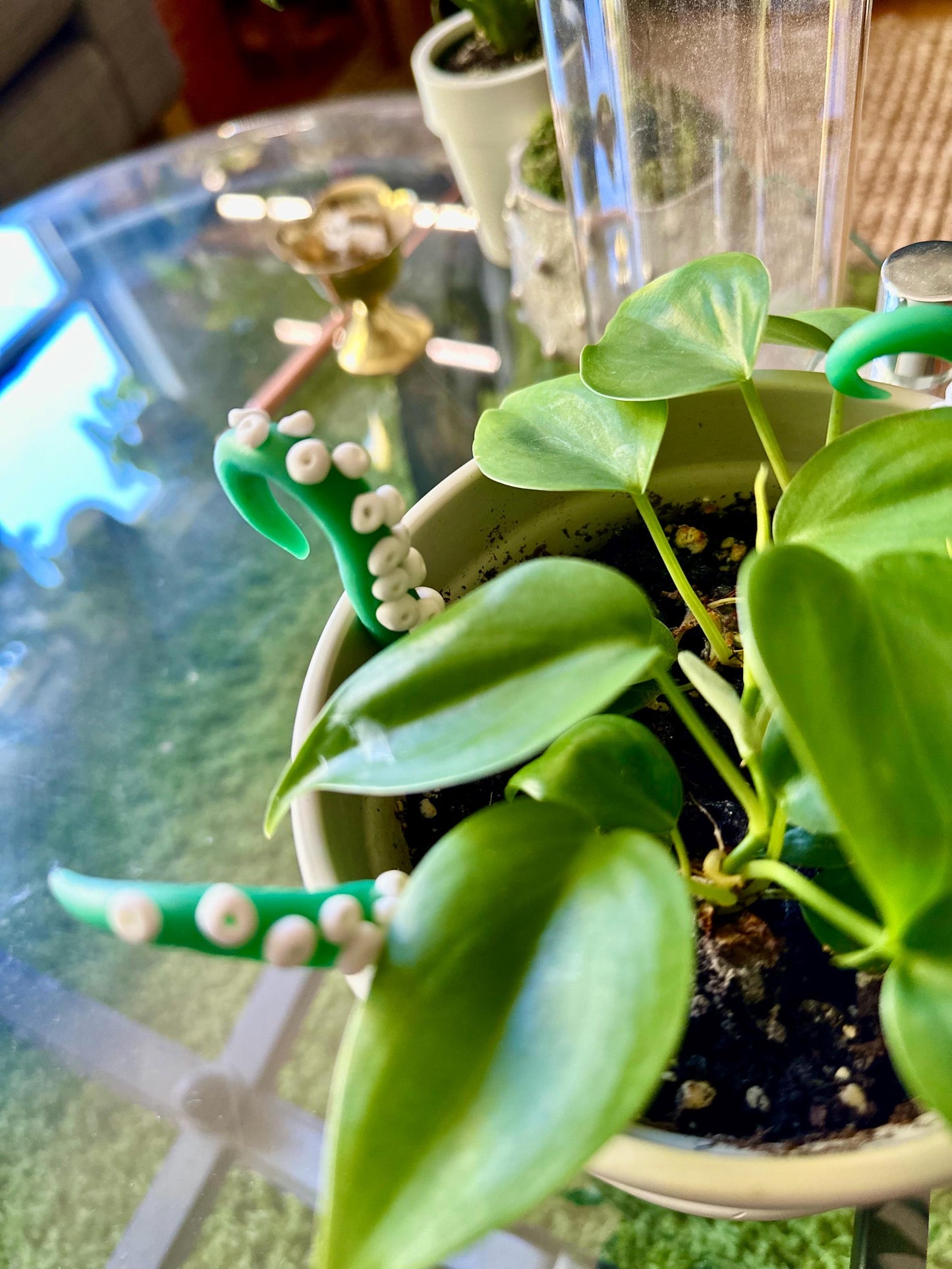 Green (semi-translucent) Sea Creature Tentacles