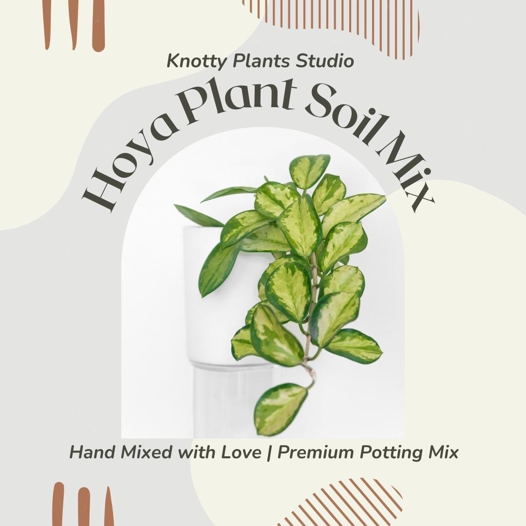 Hoya Soil Mix - Custom Soil - Organic