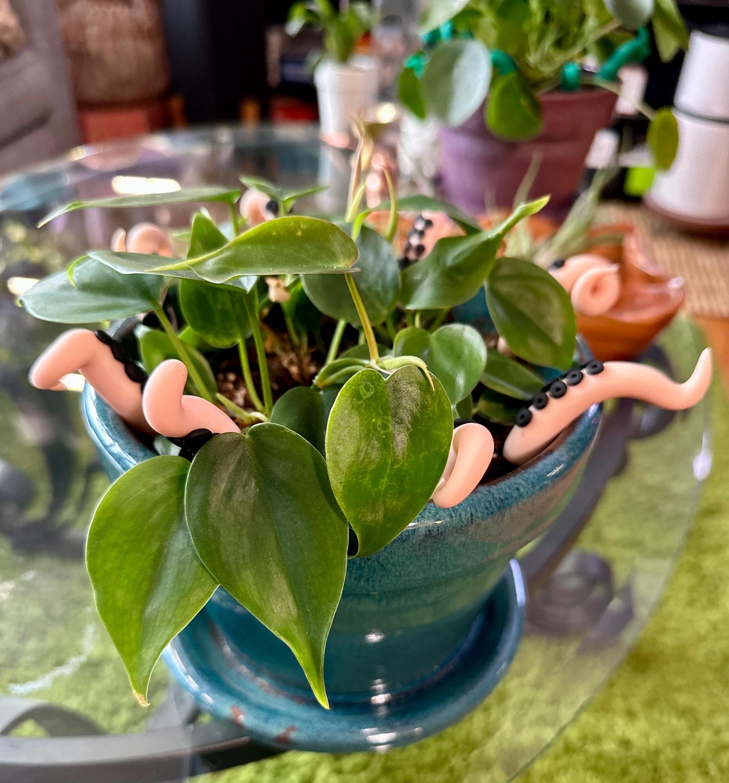 Peach Sea Creature Tentacles with Black