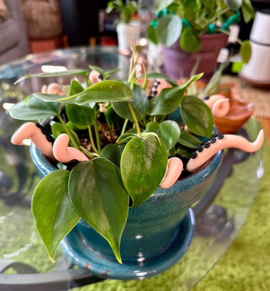 Peach Sea Creature Tentacles with Black