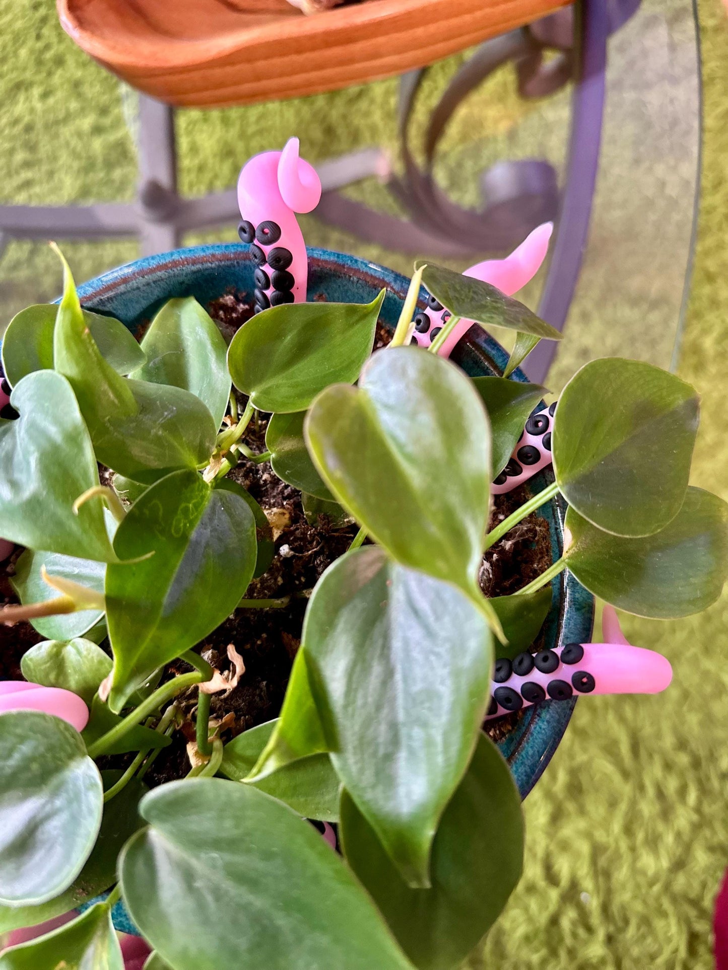 Light Pink Glitter Sea Creature Tentacles with Black