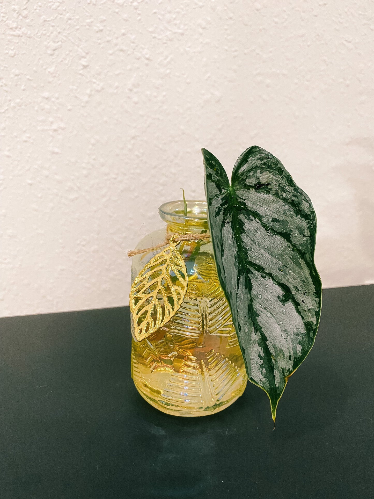 Gold Glass Propagation Container - Modern Leaf Vessel