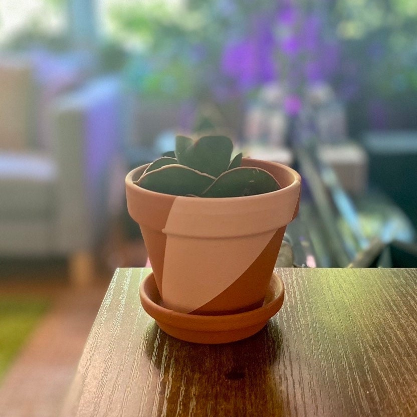 Unique Hand Painted Terracotta Pot for Plants - Pick Your Size