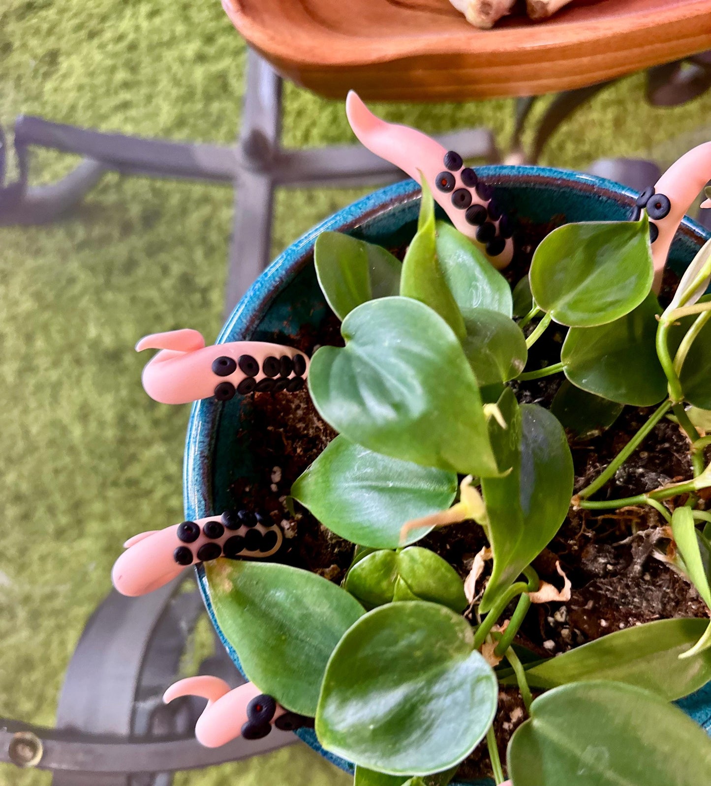 Peach Sea Creature Tentacles with Black