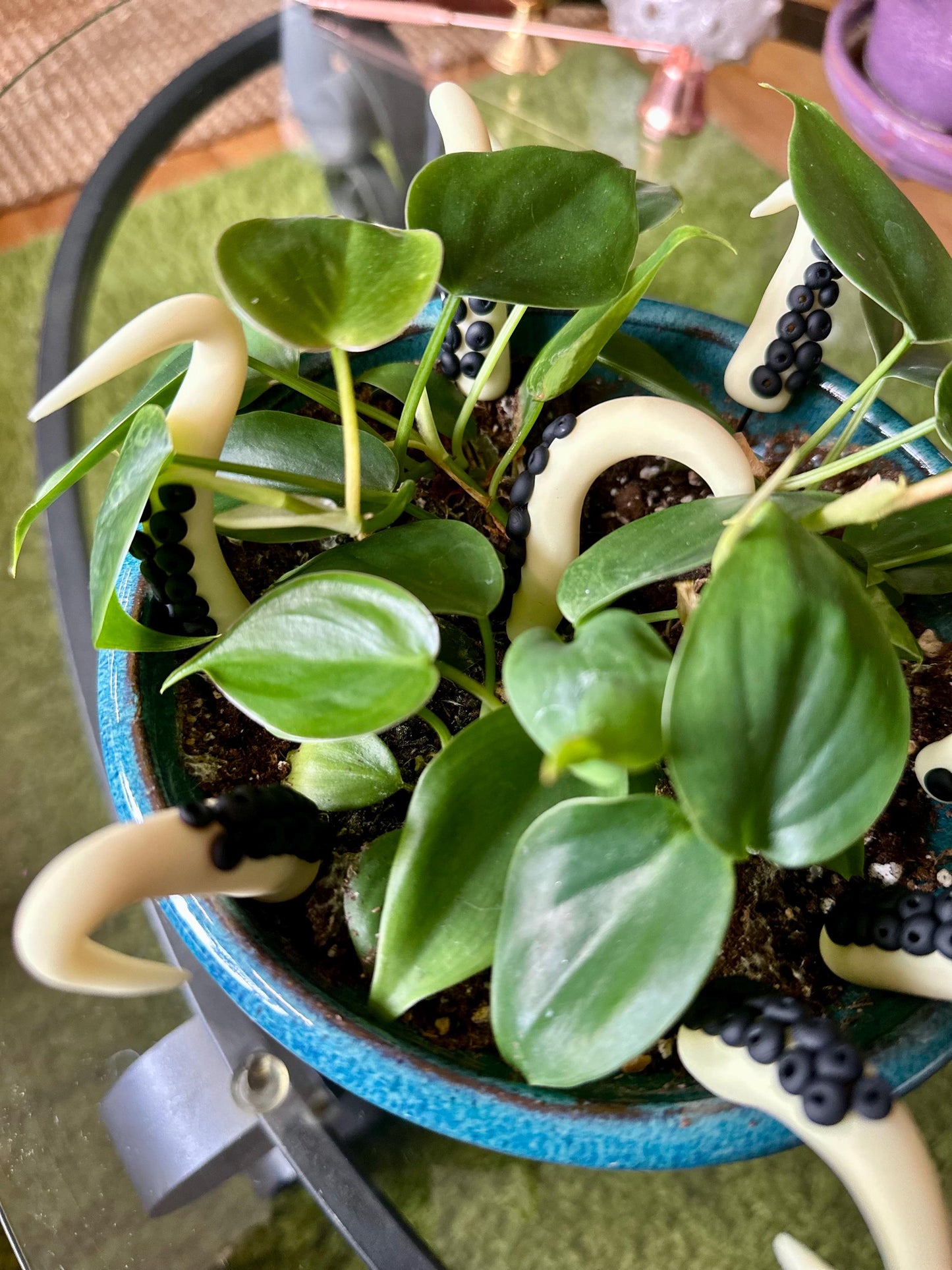 Glow In Dark (white) Sea Creature Tentacles