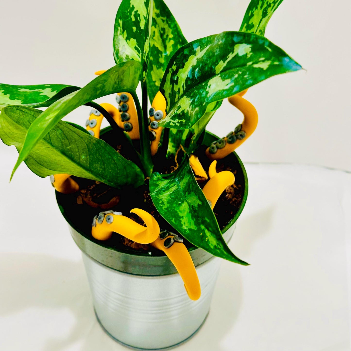 Mustard and Black Sea Creature Tentacles