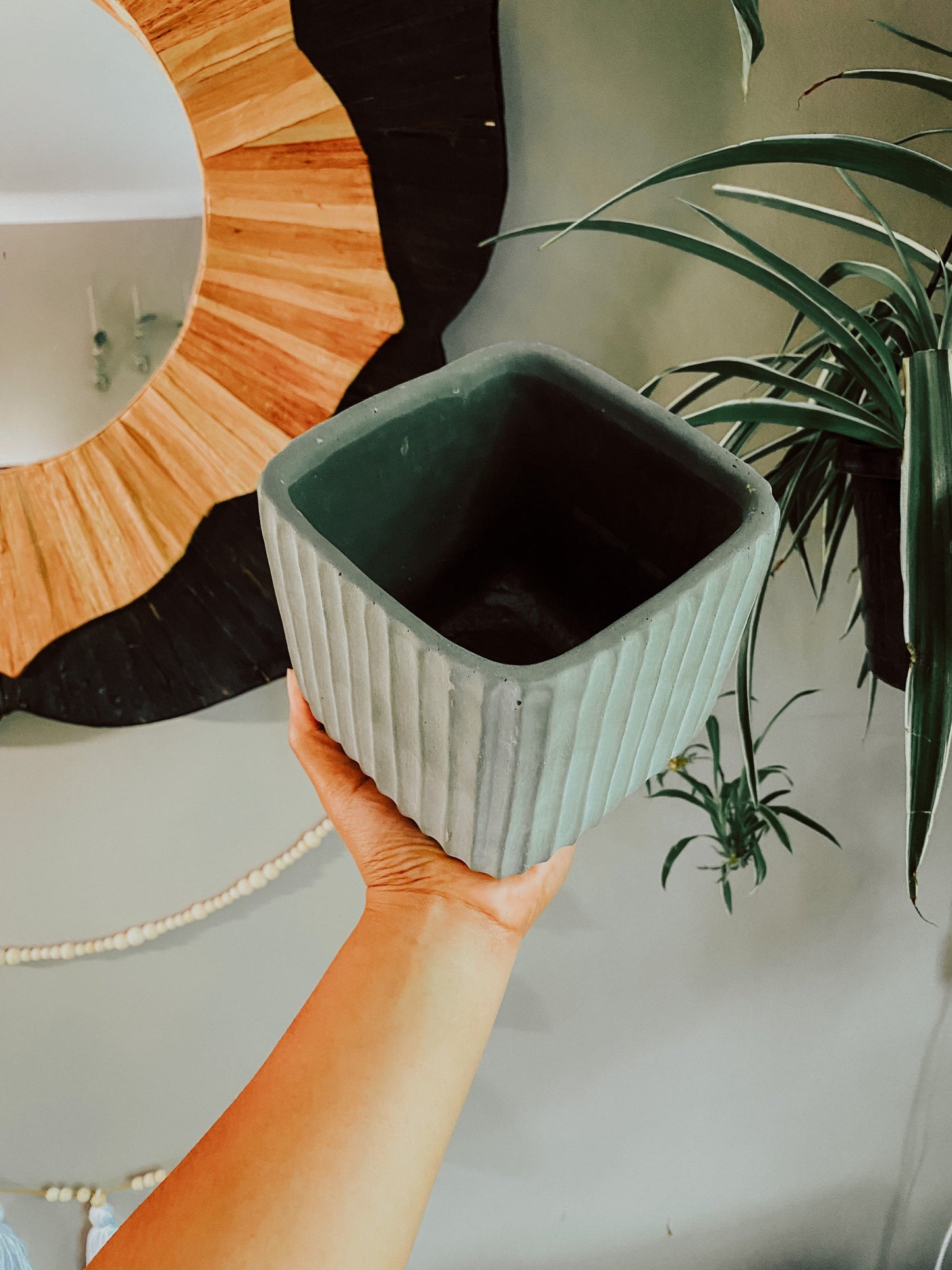 Green Neutral Ribbed Pot - Ceramic 5.5 Inch Catcher Pot