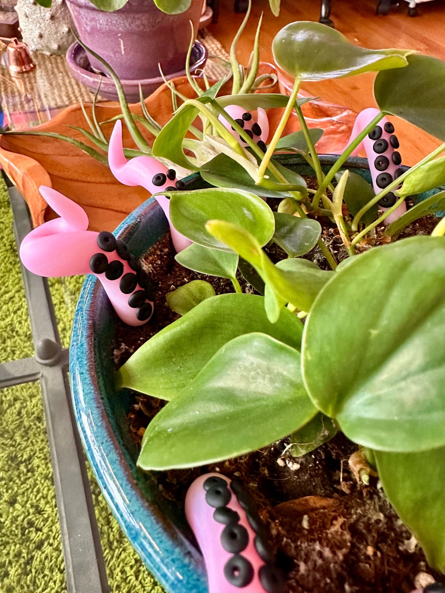 Light Pink Glitter Sea Creature Tentacles with Black