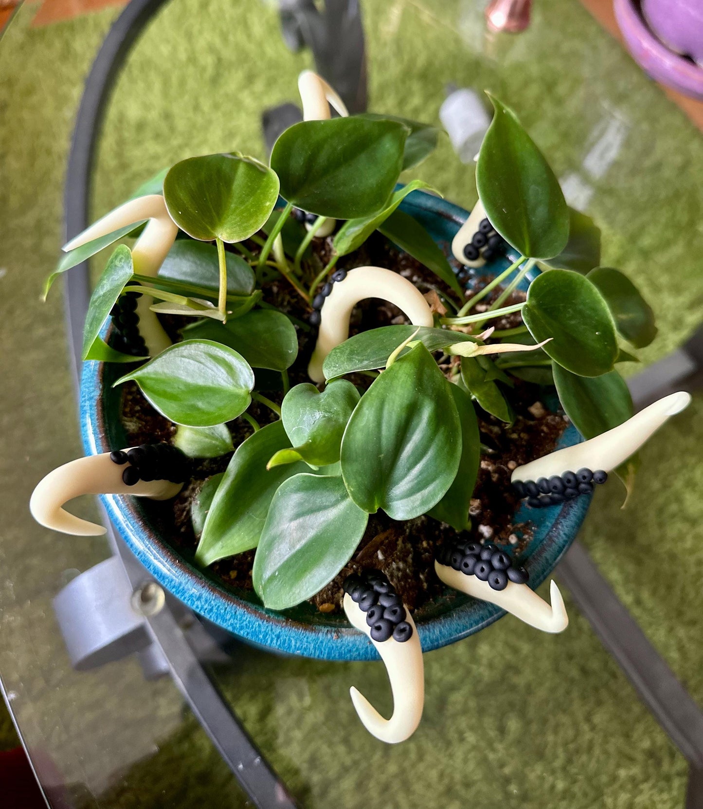 Glow In Dark (white) Sea Creature Tentacles