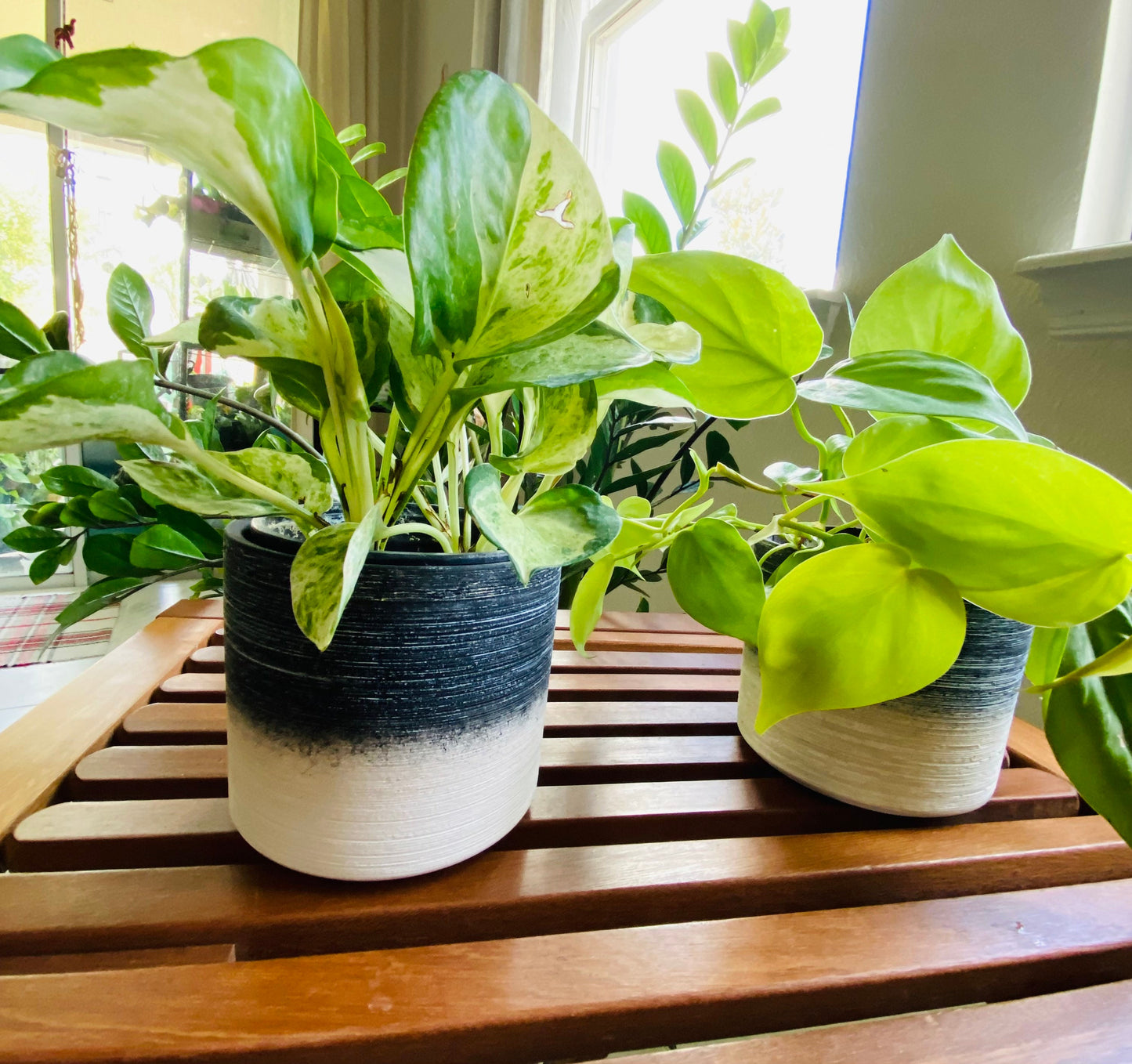 4-Inch Onbre White, Blue, Grey, Black Textured Catcher Pot - Catch Pot