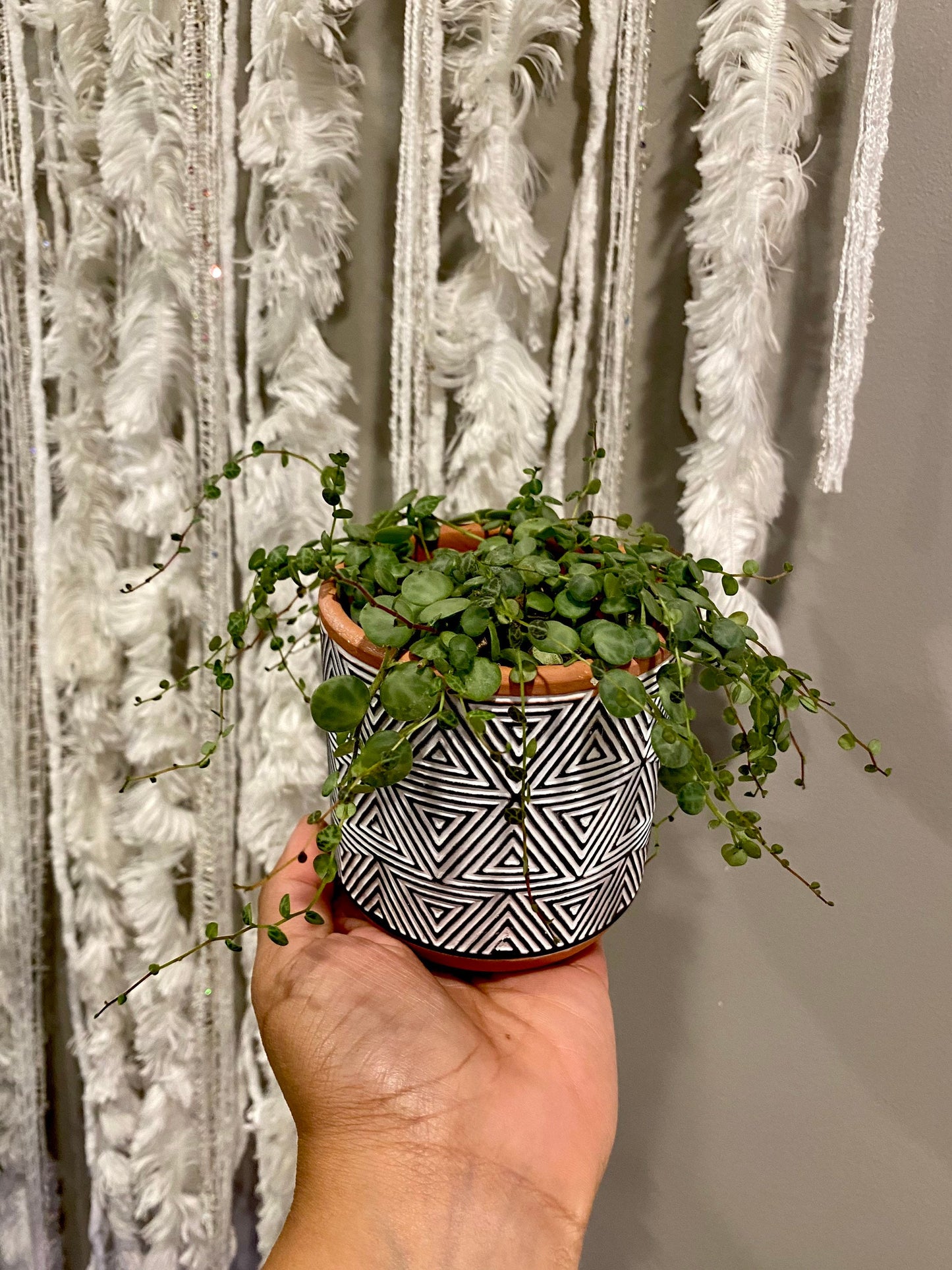 3.5 Inch Terracotta Planter - Ceramic Pot