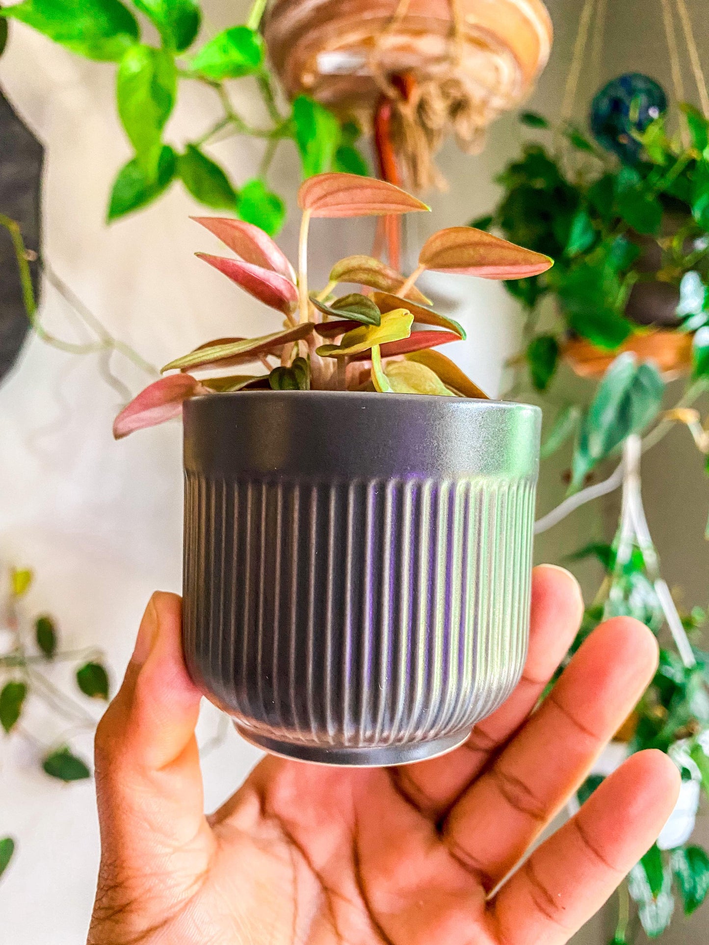 Ribbed Gray Ceramic Pot - 2 Inch