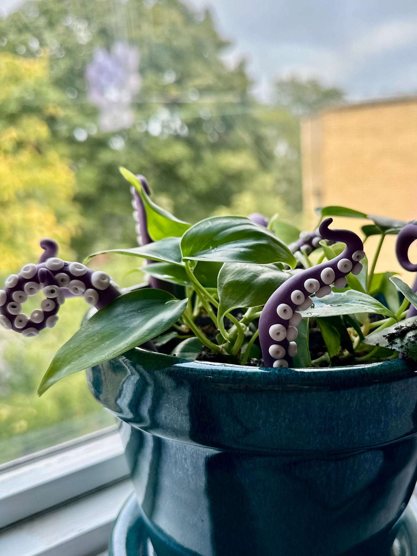 Purple & White Sea Creature Tentacles