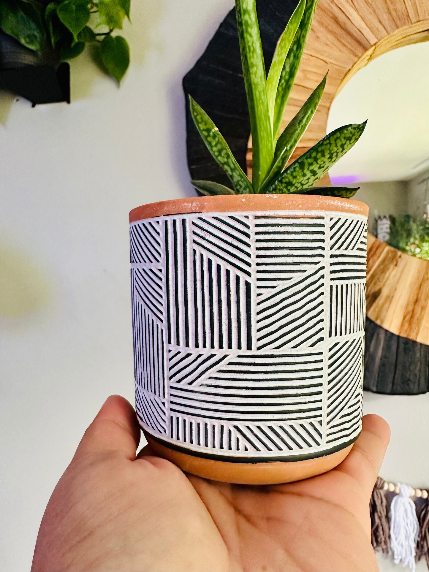 3.5 Inch Terracotta Planter - Ceramic Pot - Black & White Style