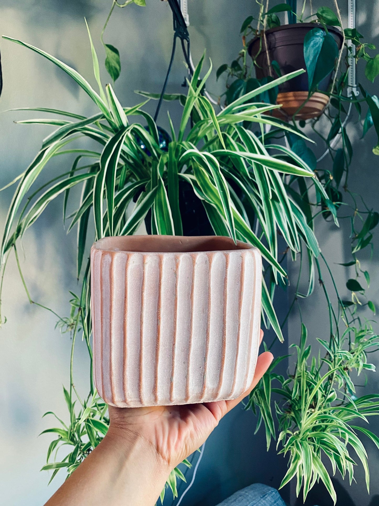 Brown and White Neutral Ribbed Catch Pot - Ceramic 5.5 Inch Pot