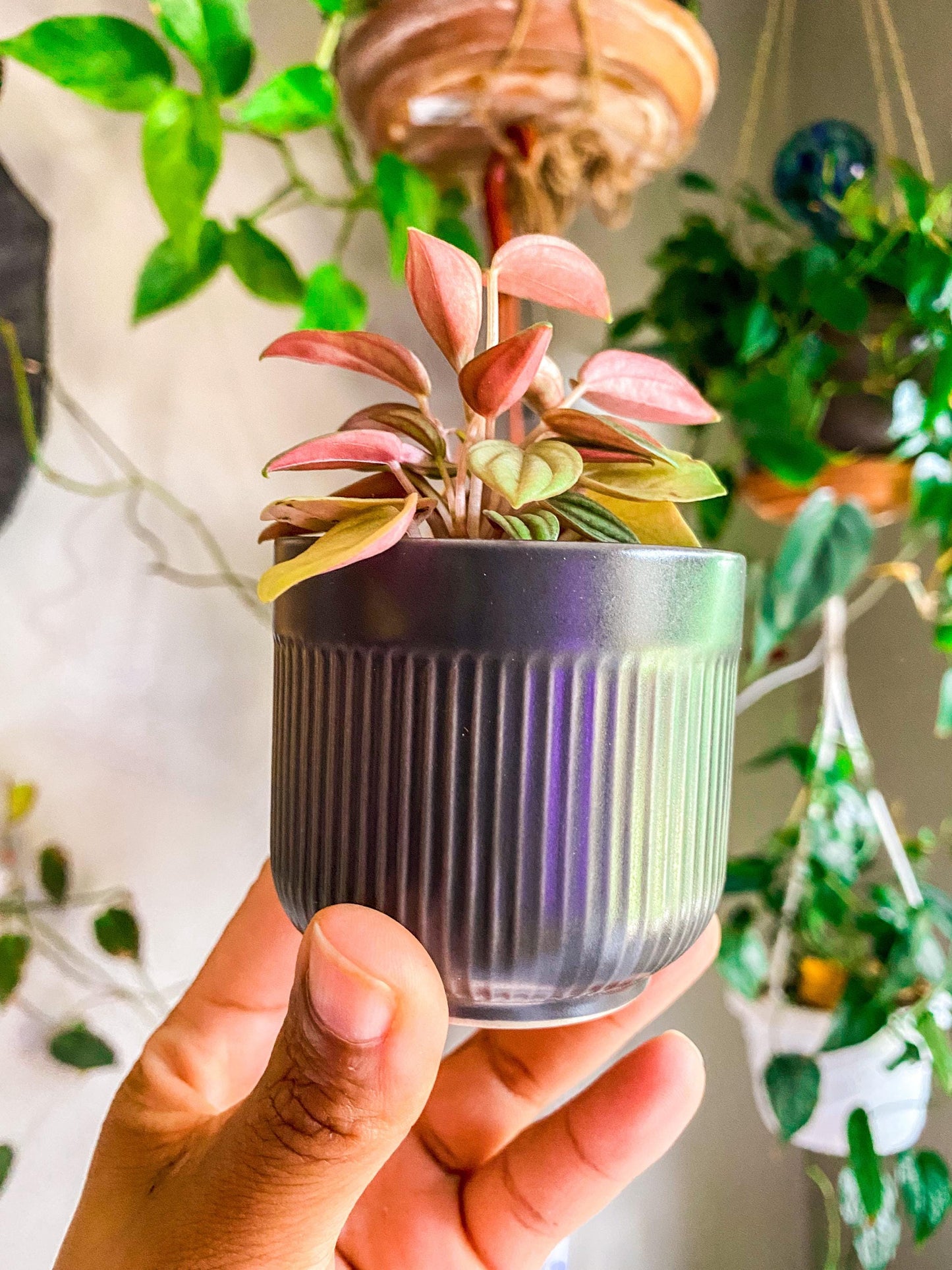 Ribbed Gray Ceramic Pot - 2 Inch