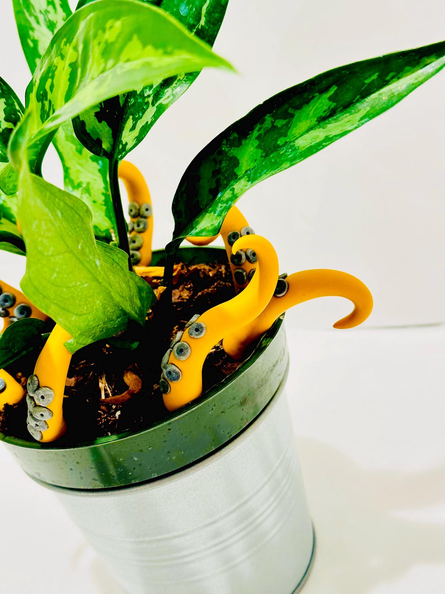 Mustard and Black Sea Creature Tentacles