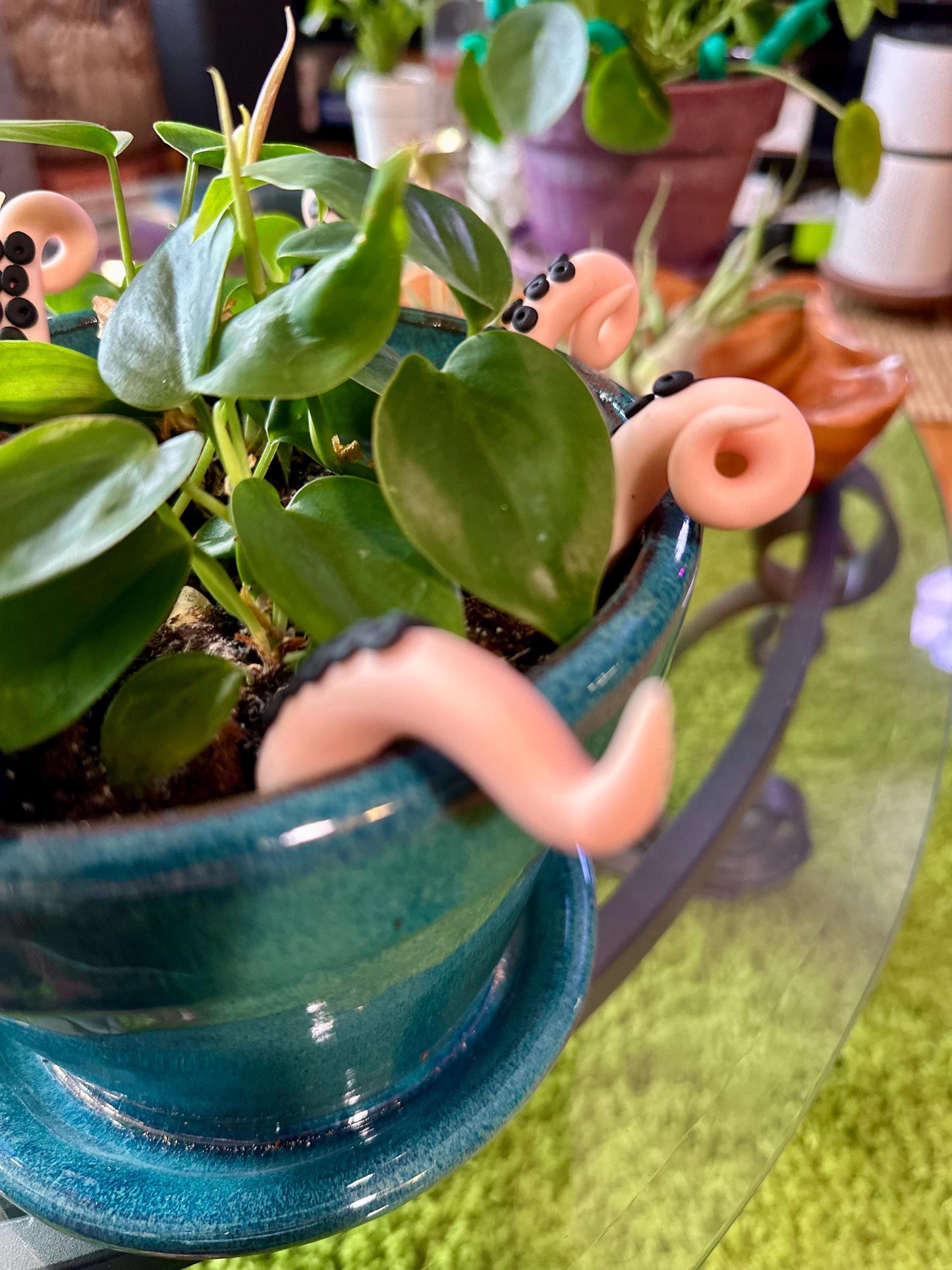 Peach Sea Creature Tentacles with Black