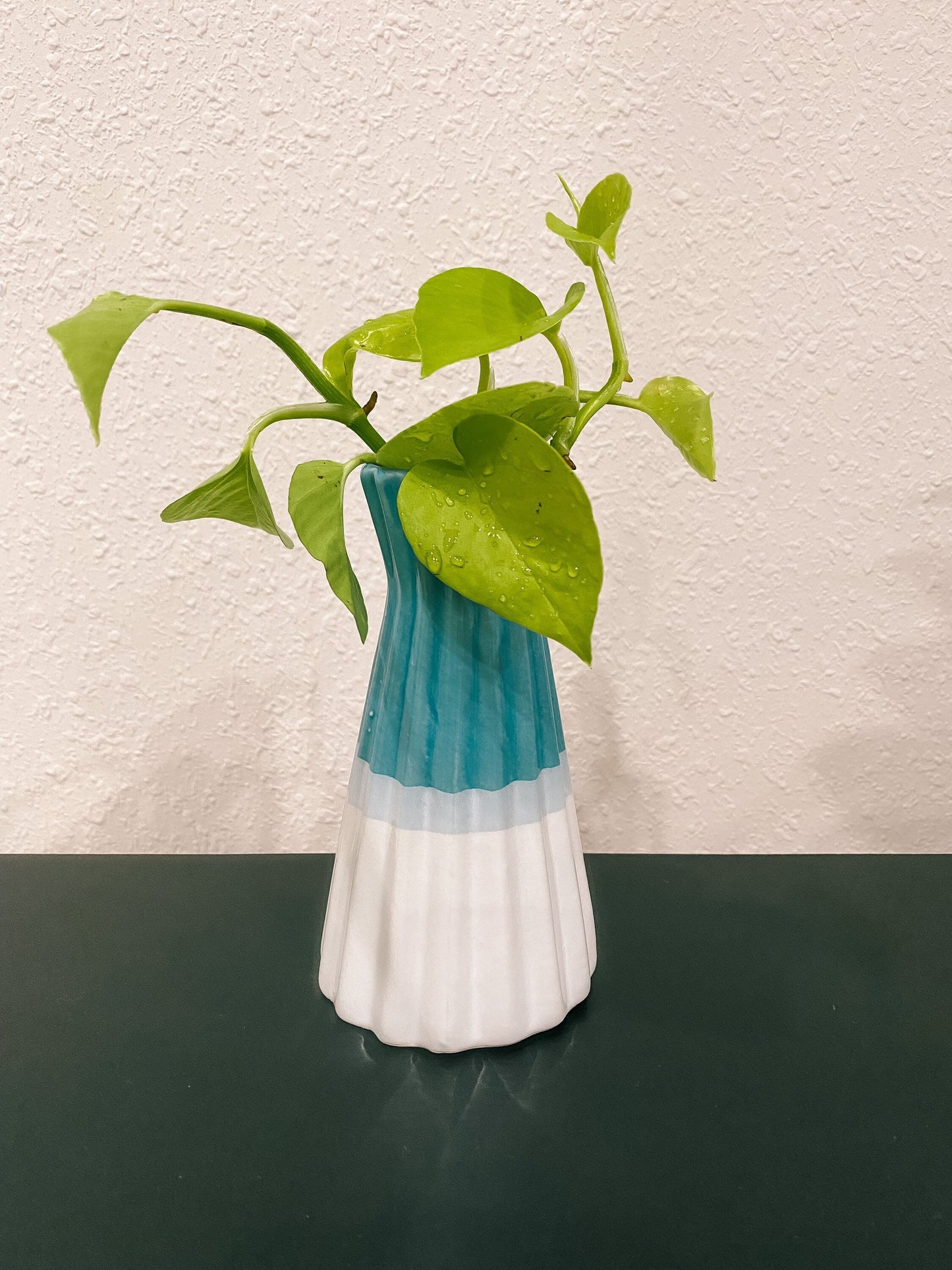 Pink, Blue, Black Propagation Container - Modern ceramic Vessel