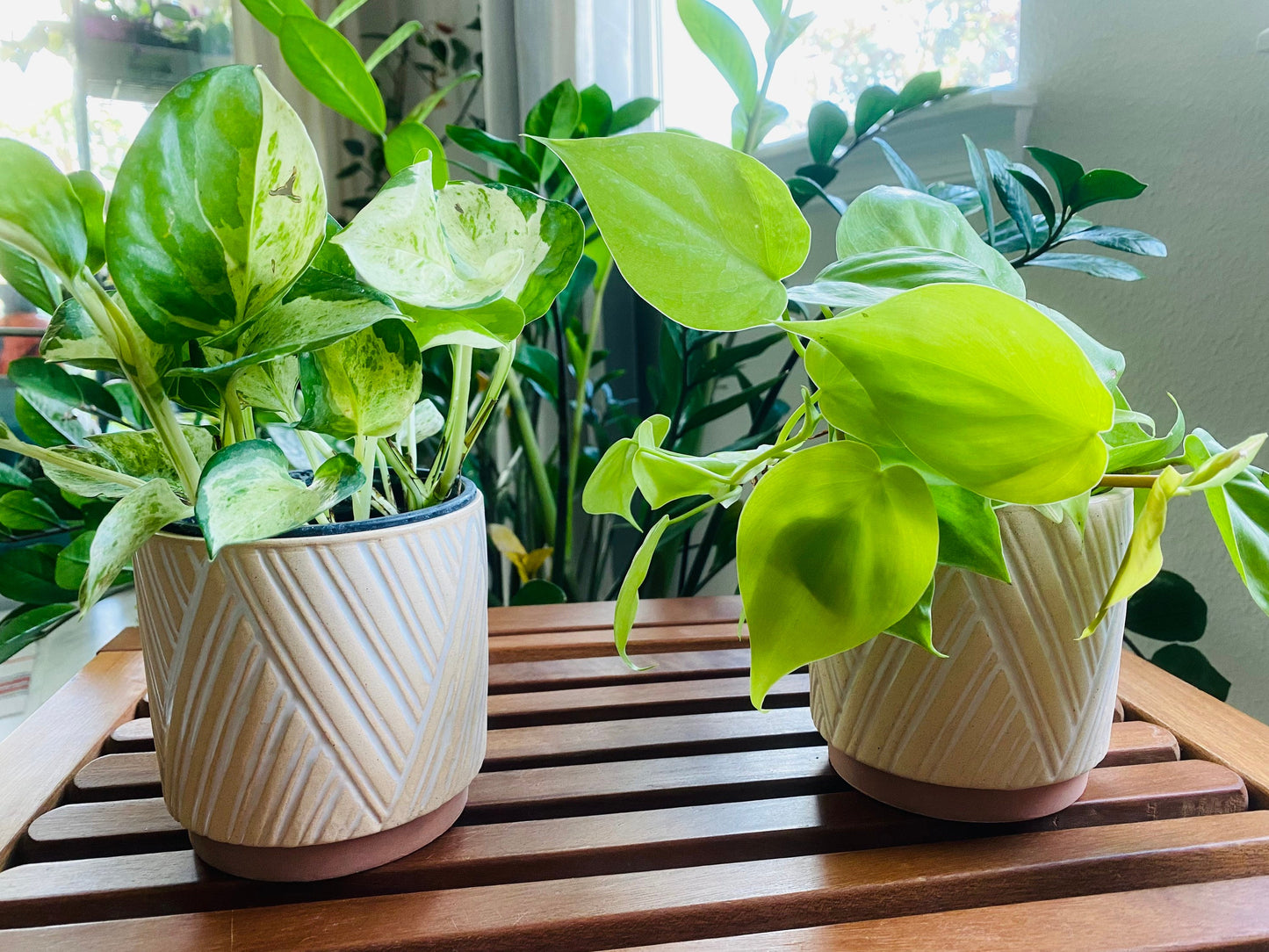 4-Inch White Zig Zag Catcher Pot - Colorful Ceramic Pot