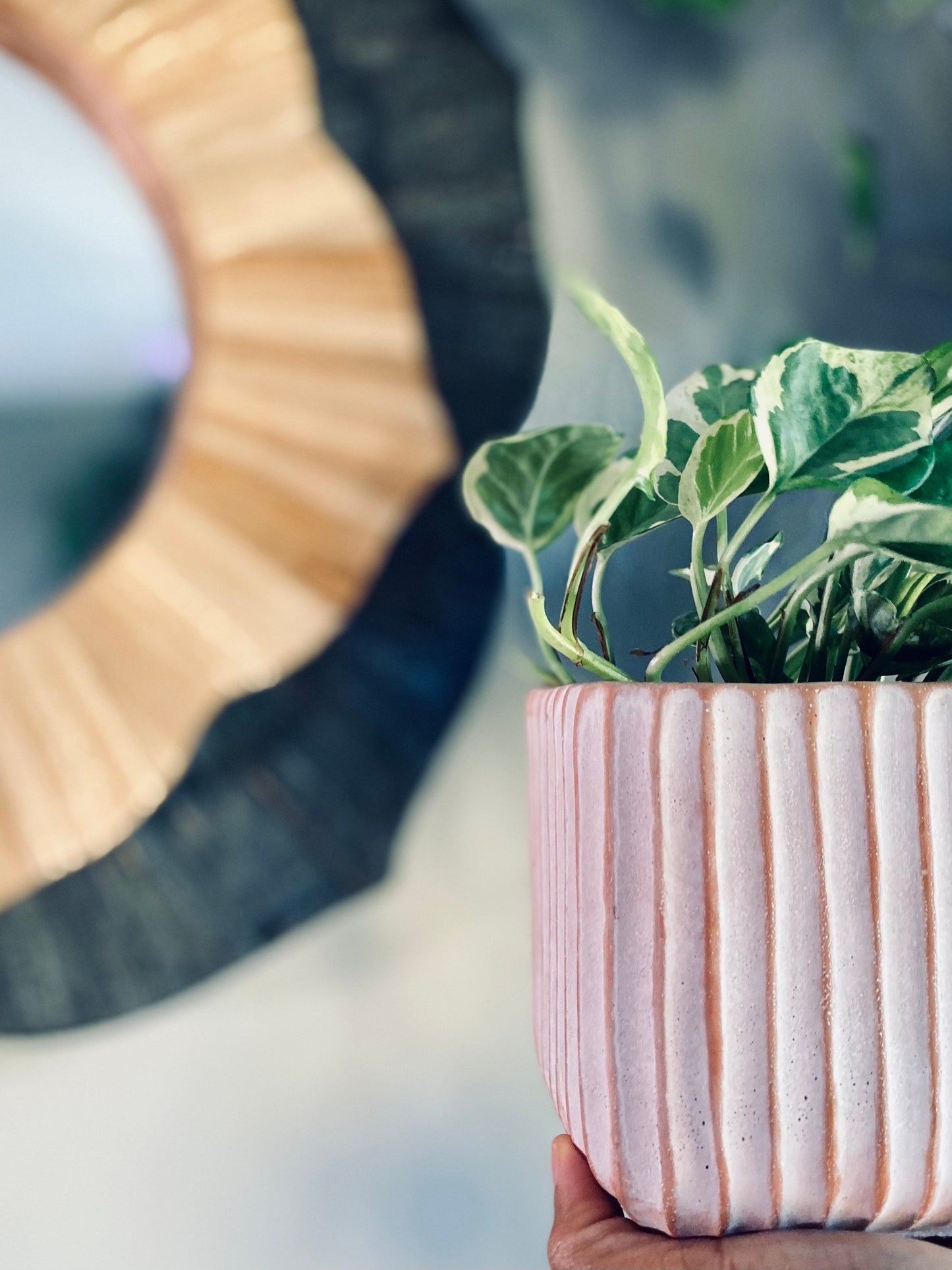 Brown and White Neutral Ribbed Catch Pot - Ceramic 5.5 Inch Pot